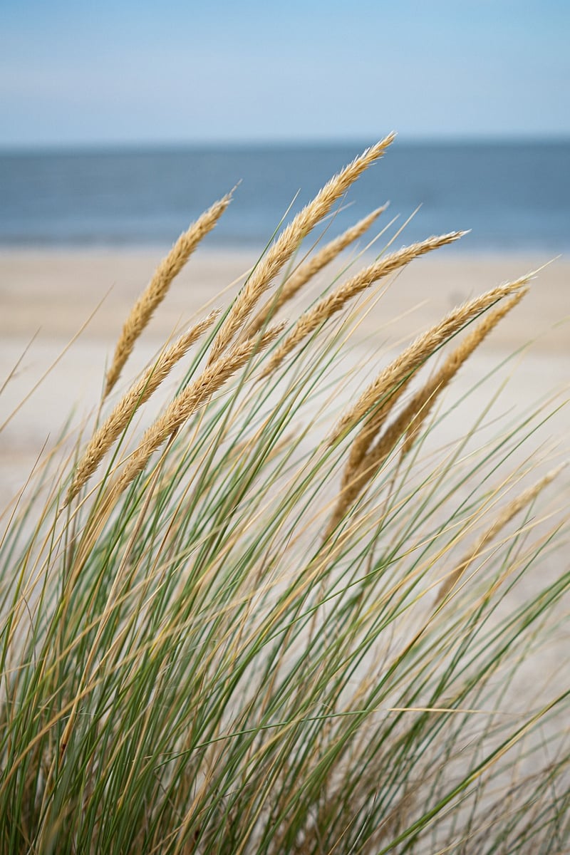 Beachfront locations