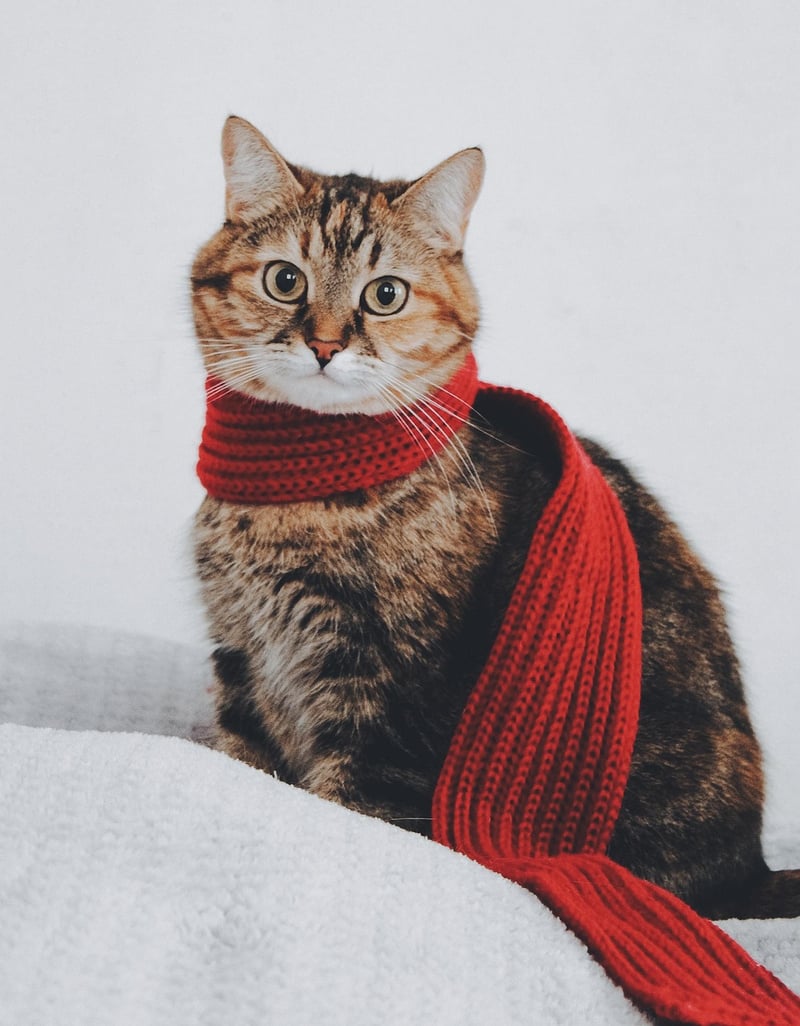 Vintage Scarves